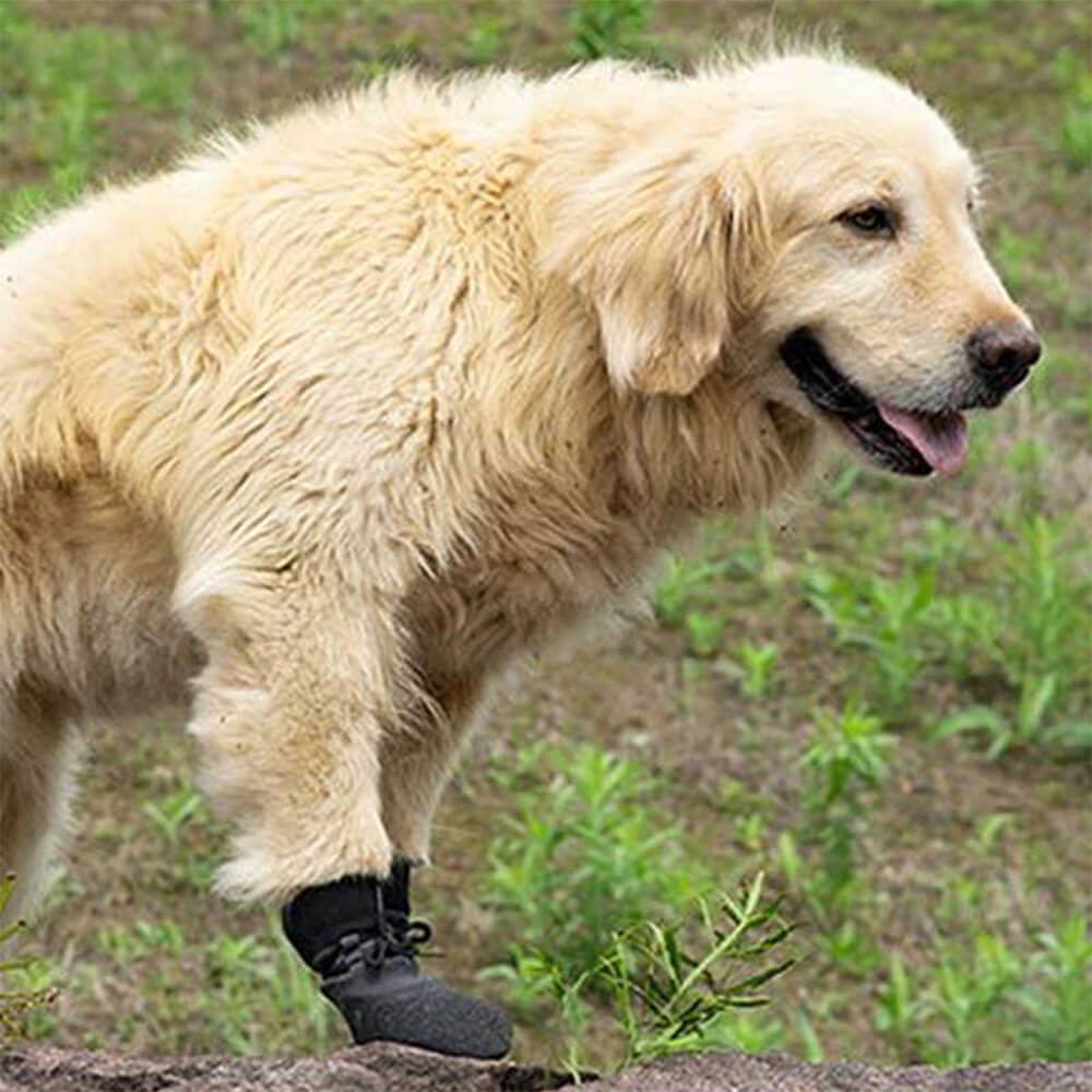 Outdoor Waterproof Breathable Non-Slip Dog Shoes for Hiking and Running-Orizon Depot