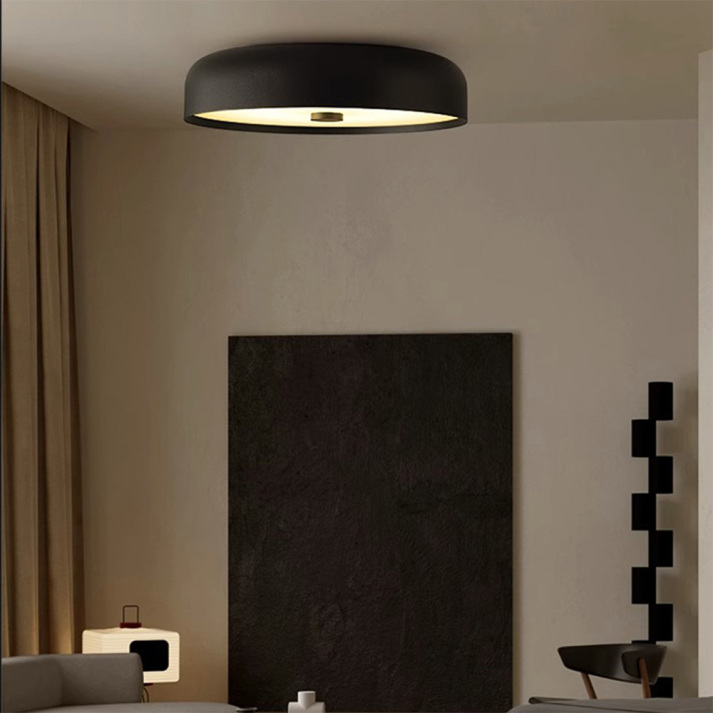 Retro Minimalist LED Ceiling Light | Stylish Flush Mount Fixture