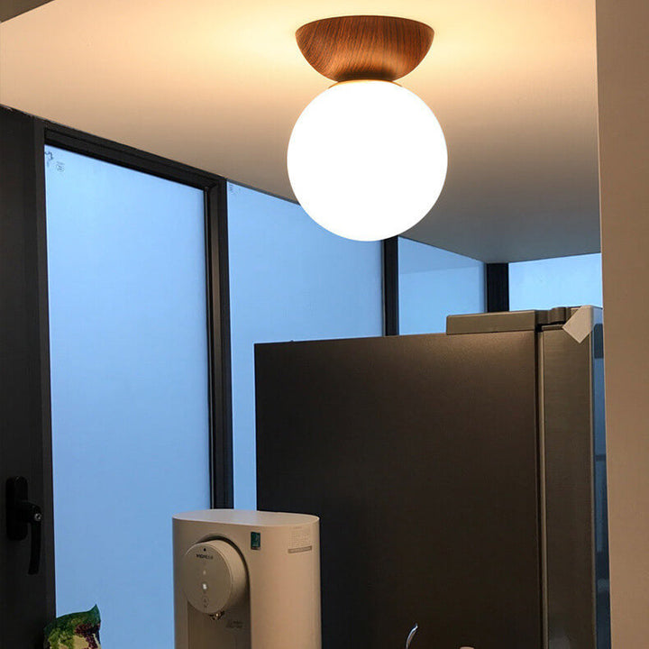 Modern Minimalist Glass Iron Orb 1-Light Semi-Flush Mount Light/Pendant Lamp for Bed Room-Orizon Depot