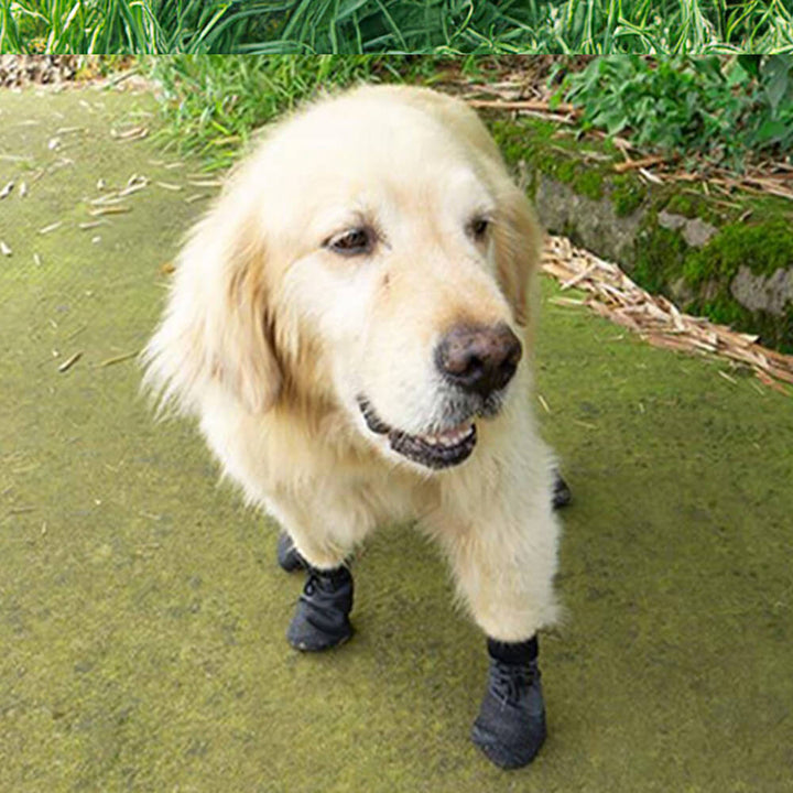 Outdoor Waterproof Breathable Non-Slip Dog Shoes for Hiking and Running-Orizon Depot