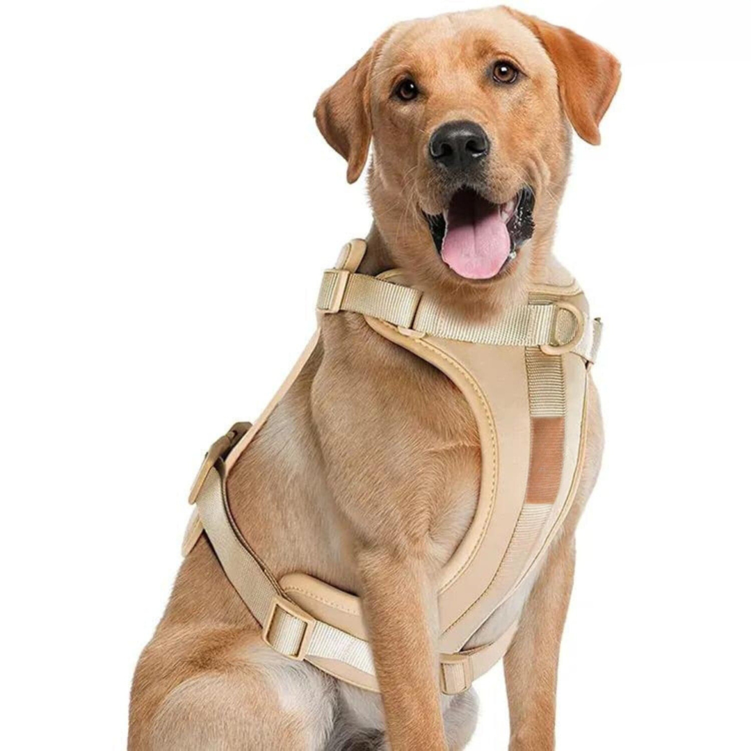 Comfy Dog Harness Walking Set with Leash and Poop Bag Holder-Orizon Depot