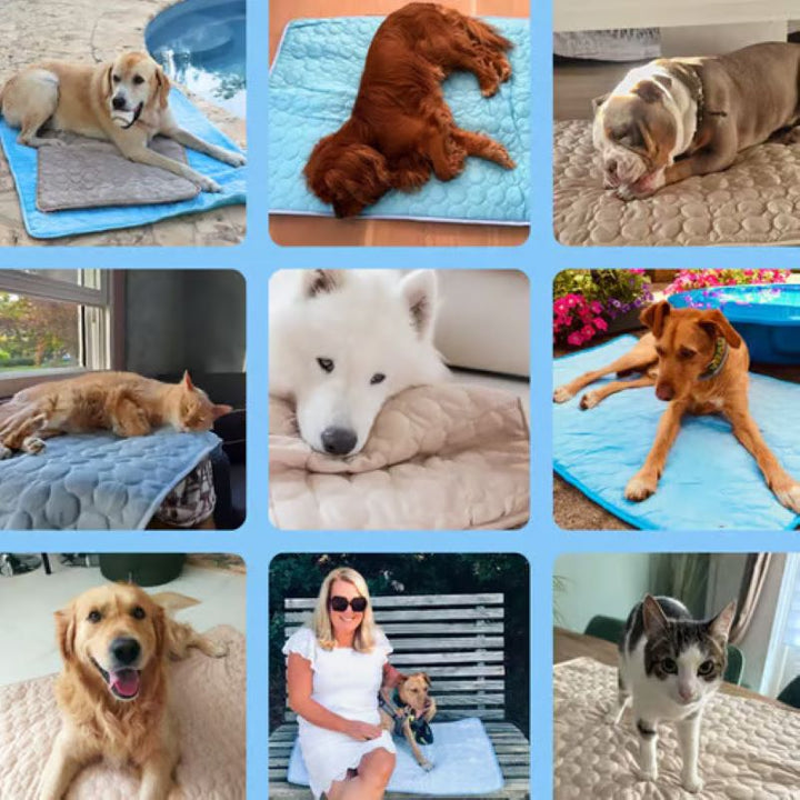 Cooling Mat for Dogs - 4x More Effective Pet Comfort Solution-Orizon Depot