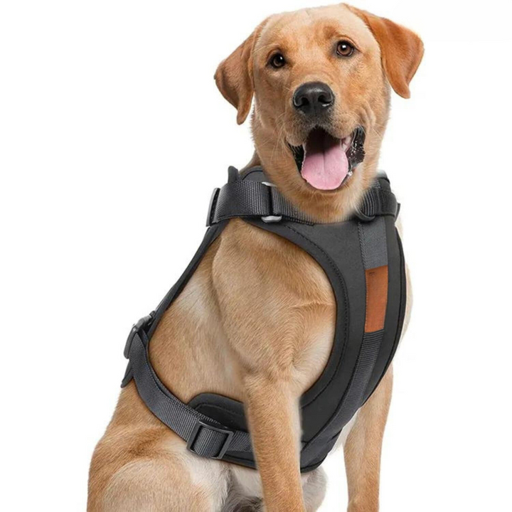 Comfy Dog Harness Walking Set with Leash and Poop Bag Holder-Orizon Depot