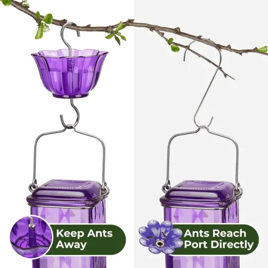Leak-Proof 24oz Glass Hummingbird Feeder for Outdoor Use