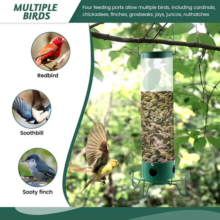 Squirrel-Resistant Bird Feeder for Backyard Birdwatching