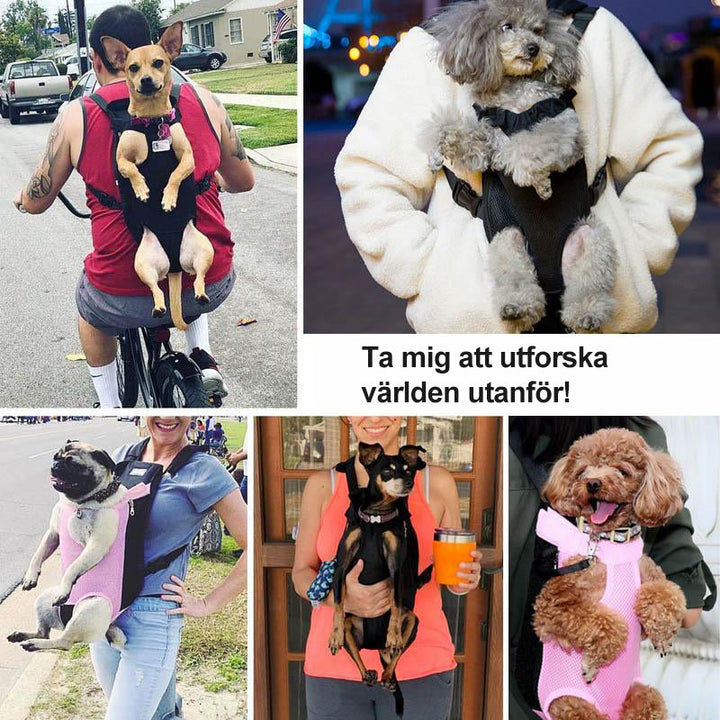 Pet Front Backpack Carrier for Dogs and Cats-Orizon Depot