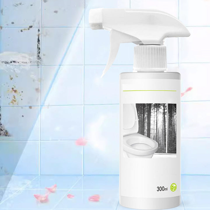 Powerful Toilet Cleaner for Stains with Oxalic Acid Shine-Orizon Depot