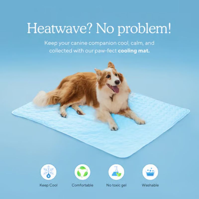 Cooling Mat for Dogs - 4x More Effective Pet Comfort Solution-Orizon Depot