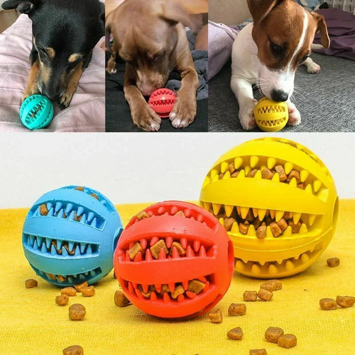 Interactive Dog Toy Ball
