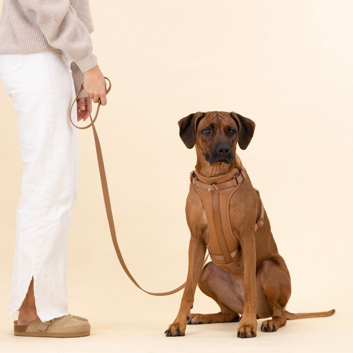 Comfy Dog Harness Walking Set with Leash and Poop Bag Holder-Orizon Depot