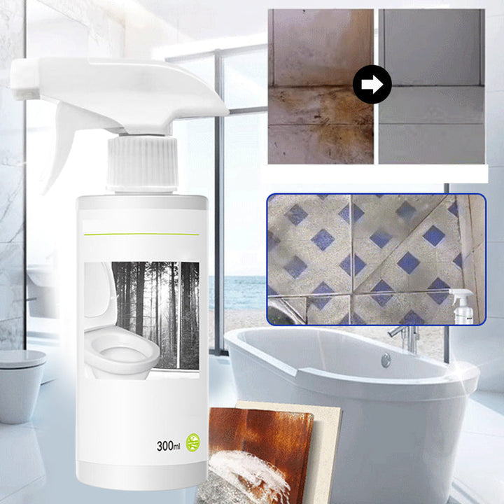 Powerful Toilet Cleaner for Stains with Oxalic Acid Shine-Orizon Depot