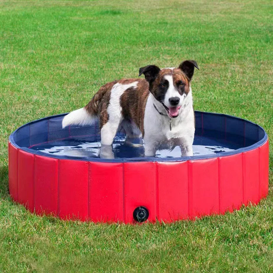 Portable Foldable Dog Pool for Outdoor Fun and Relaxation