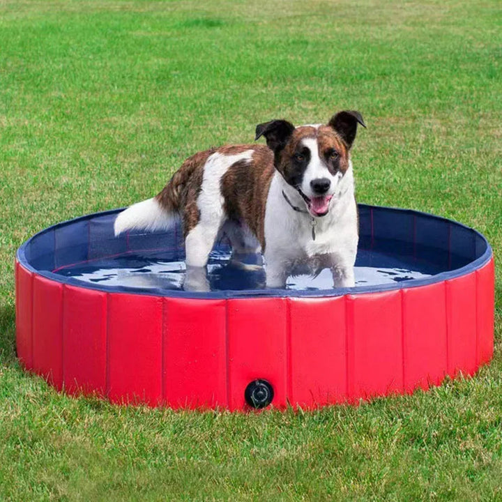 Portable Foldable Dog Pool for Outdoor Fun and Relaxation
