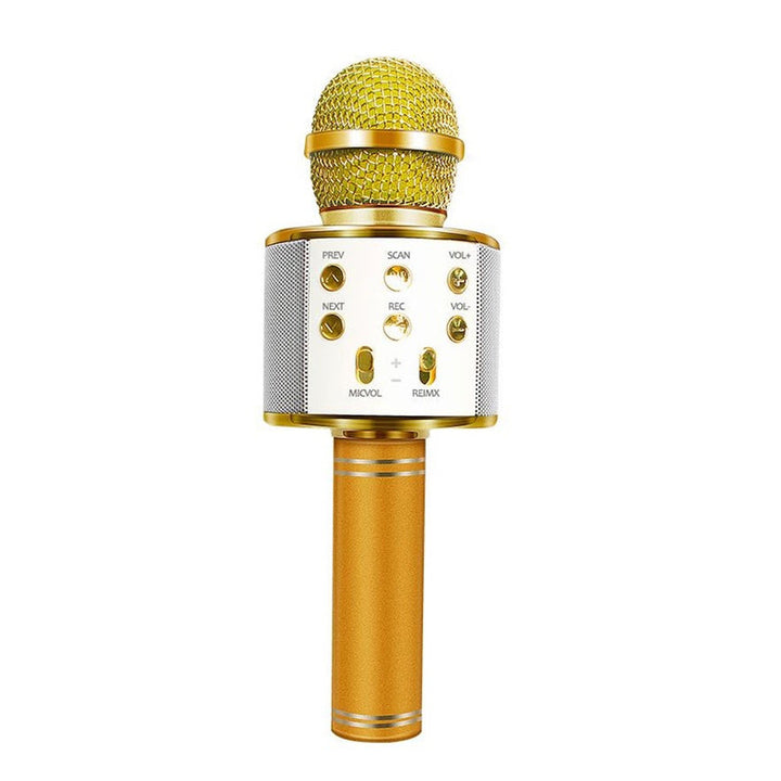 Rechargeable Wireless Bluetooth Karaoke Microphone-Orizon Depot