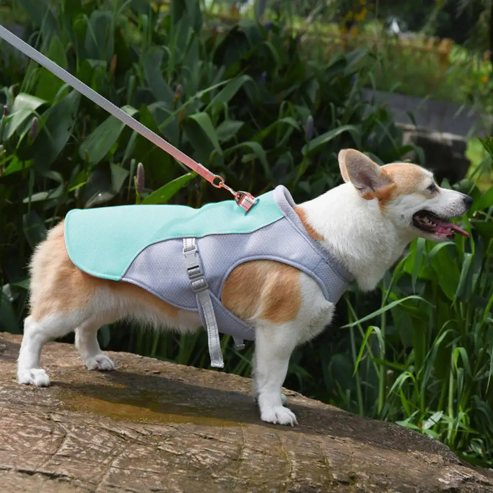 Dog Cooling Vest for Summer Outdoor Adventures