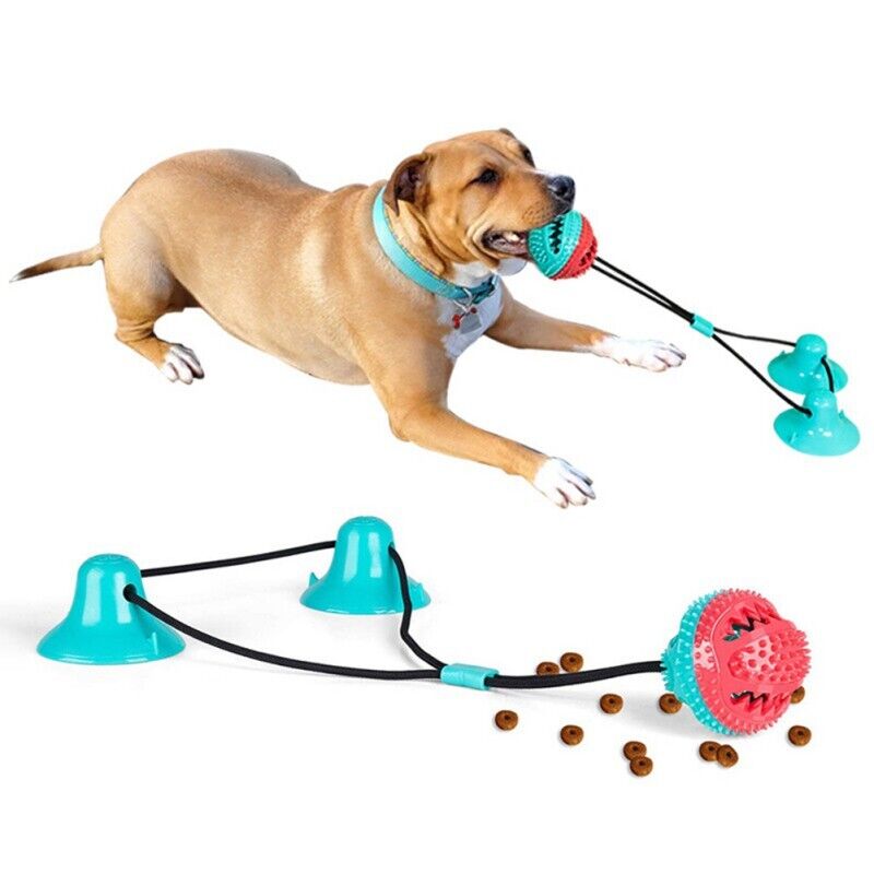 Interactive Dog Suction Toy for Engaging Playtime Fun