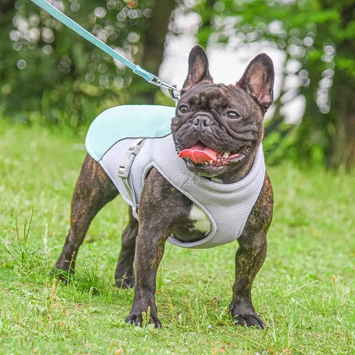 Dog Cooling Vest for Summer Outdoor Adventures