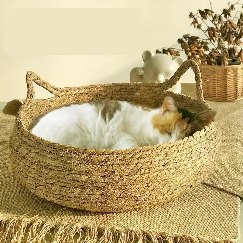 Handmade Woven Cat Bed with Removable Seasonal Cushion