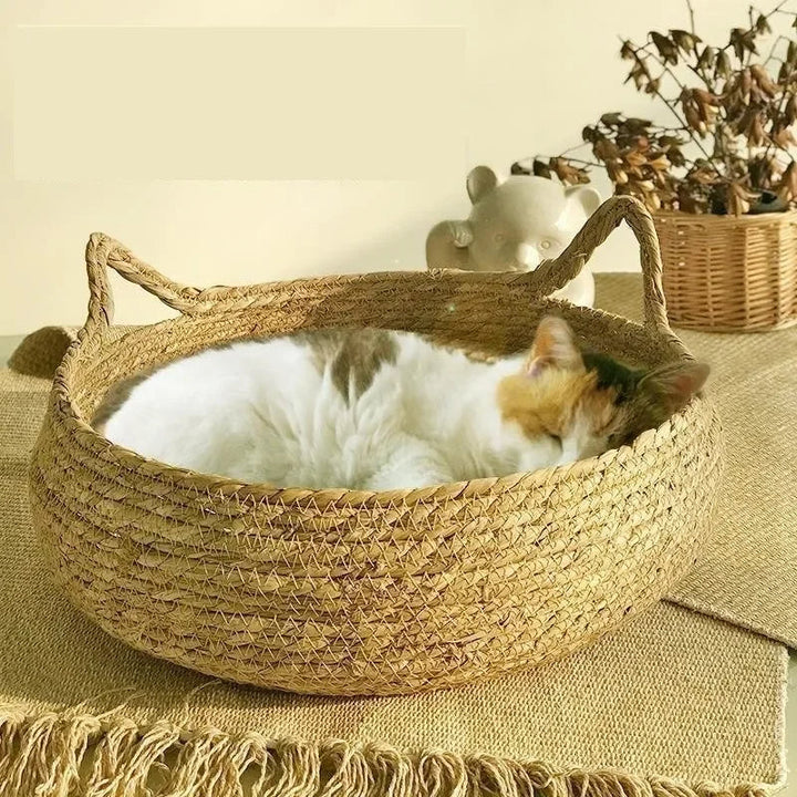 Handmade Woven Cat Bed with Removable Seasonal Cushion
