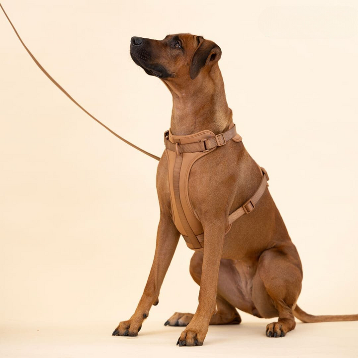 Comfy Dog Harness Walking Set with Leash and Poop Bag Holder-Orizon Depot