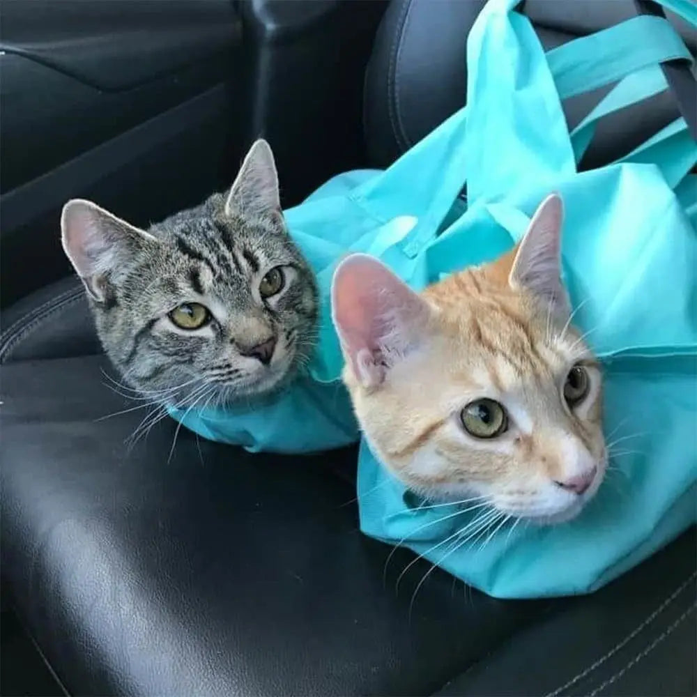 Travel Cat Carrier Pouch for Scratch-Resistant Comfort