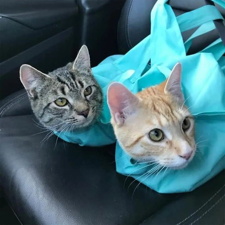 Travel Cat Carrier Pouch for Scratch-Resistant Comfort