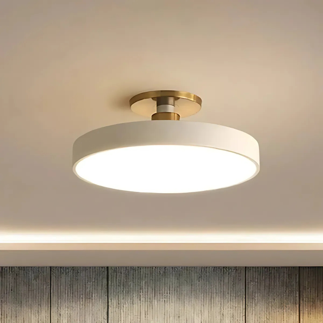 Scandinavian Modern Design LED Ceiling Light Fixture
