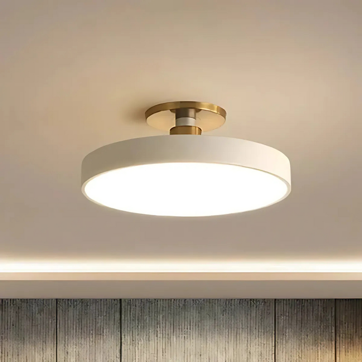 Scandinavian Modern Design LED Ceiling Light Fixture