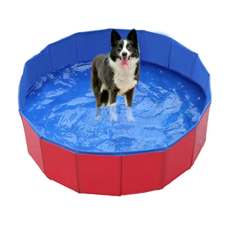 Portable Foldable Dog Pool for Outdoor Fun and Relaxation