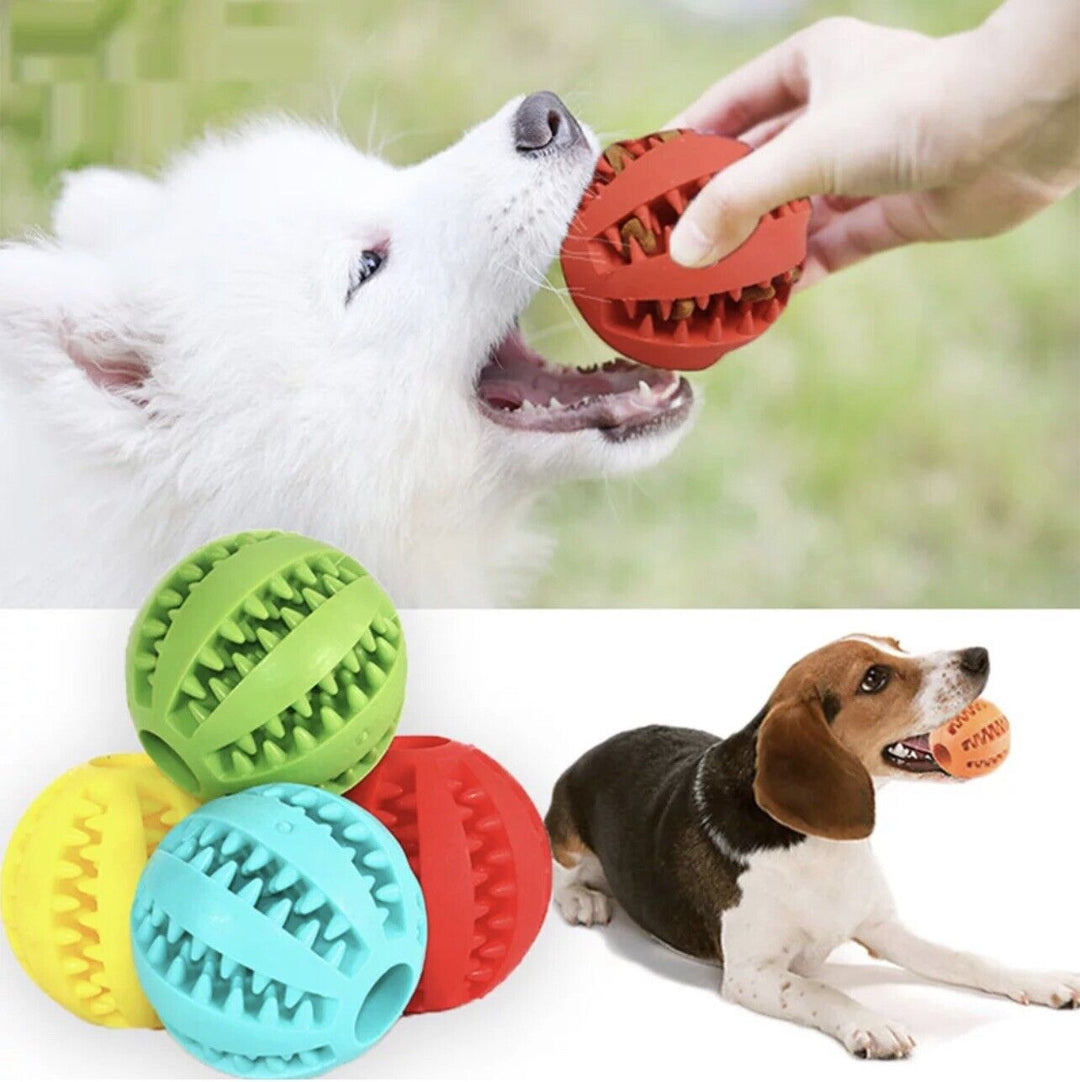 Interactive Dog Toy Ball