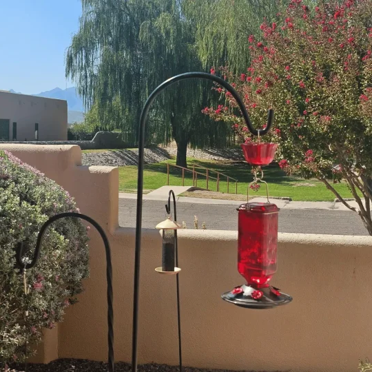 Leak-Proof 24oz Glass Hummingbird Feeder for Outdoor Use