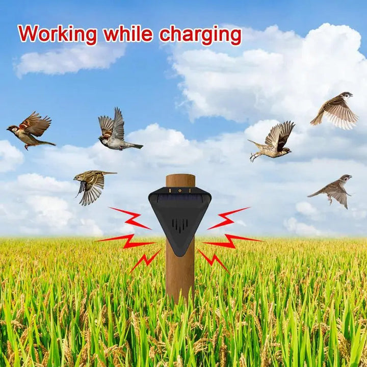 Solar Outdoor Bird Deterrent Device