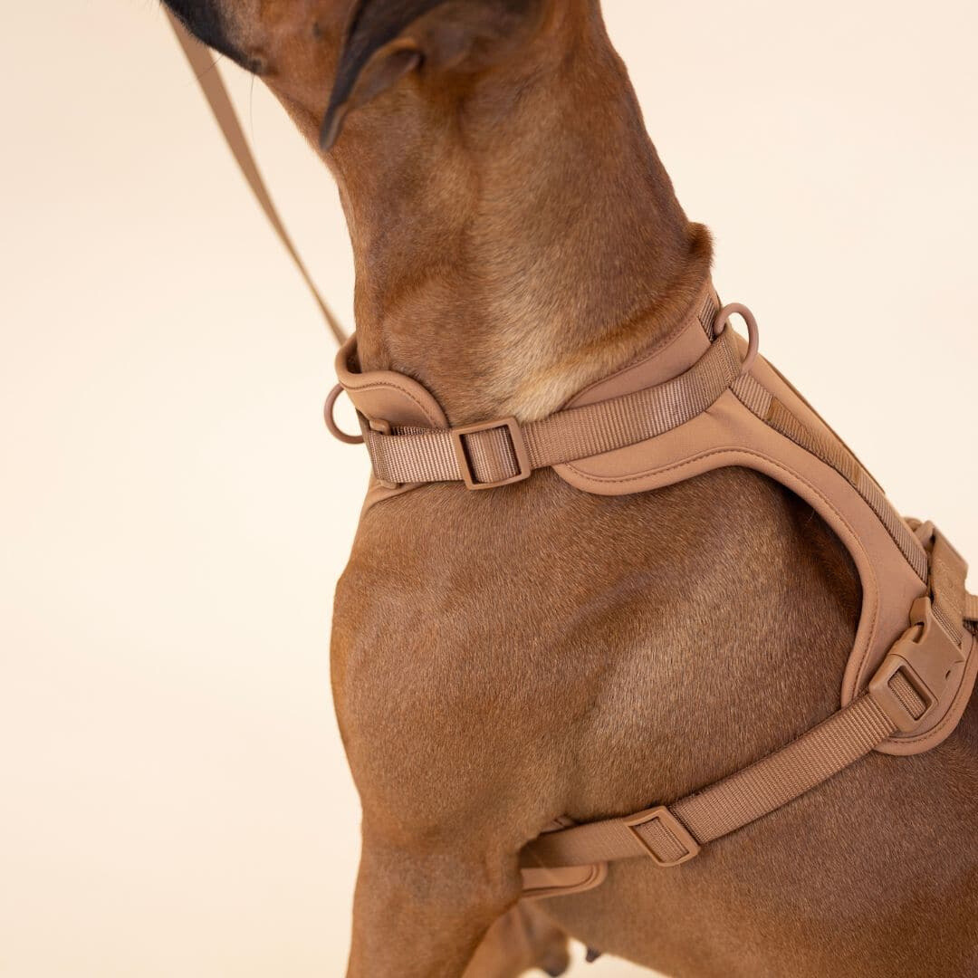 Comfy Dog Harness Walking Set with Leash and Poop Bag Holder-Orizon Depot