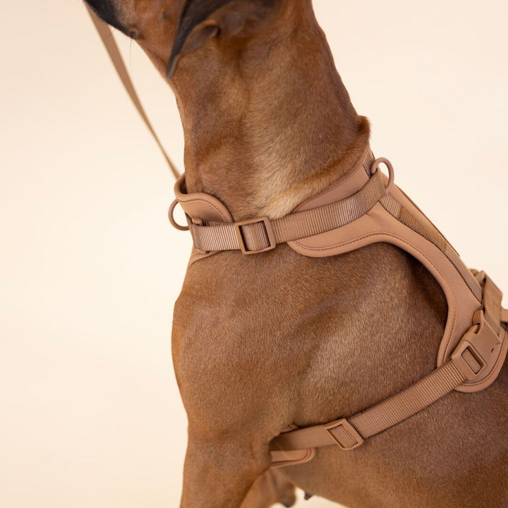 Comfy Dog Harness Walking Set with Leash and Poop Bag Holder-Orizon Depot