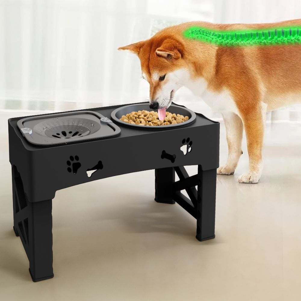 Adjustable Elevated Slow Feeder for Dogs