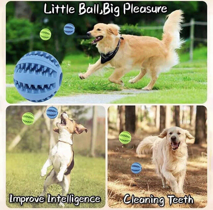 Interactive Dog Toy Ball
