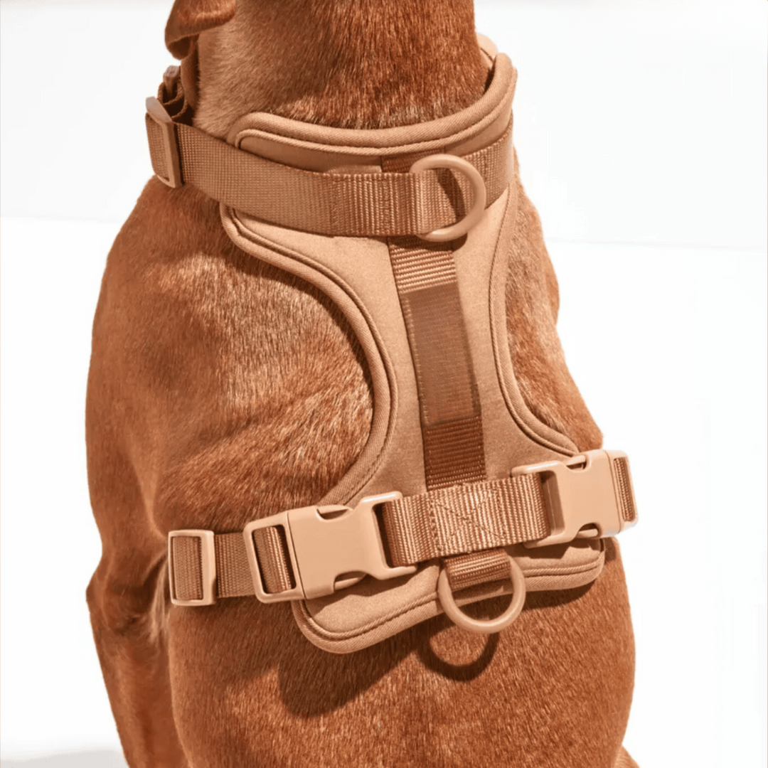 Comfy Dog Harness Walking Set with Leash and Poop Bag Holder-Orizon Depot