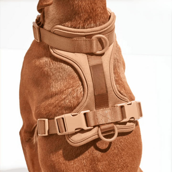 Comfy Dog Harness Walking Set with Leash and Poop Bag Holder-Orizon Depot