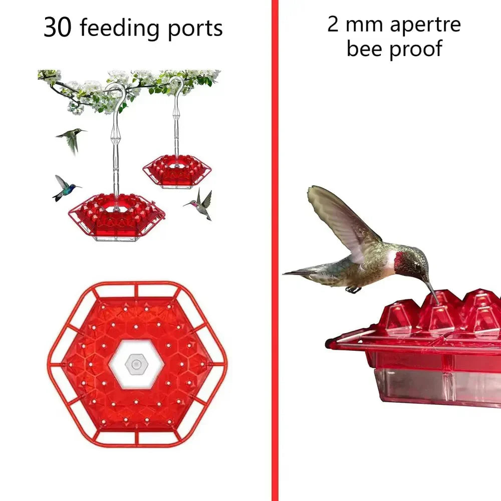 Ant-Proof Hummingbird Feeder with Outdoor Hanging Perch