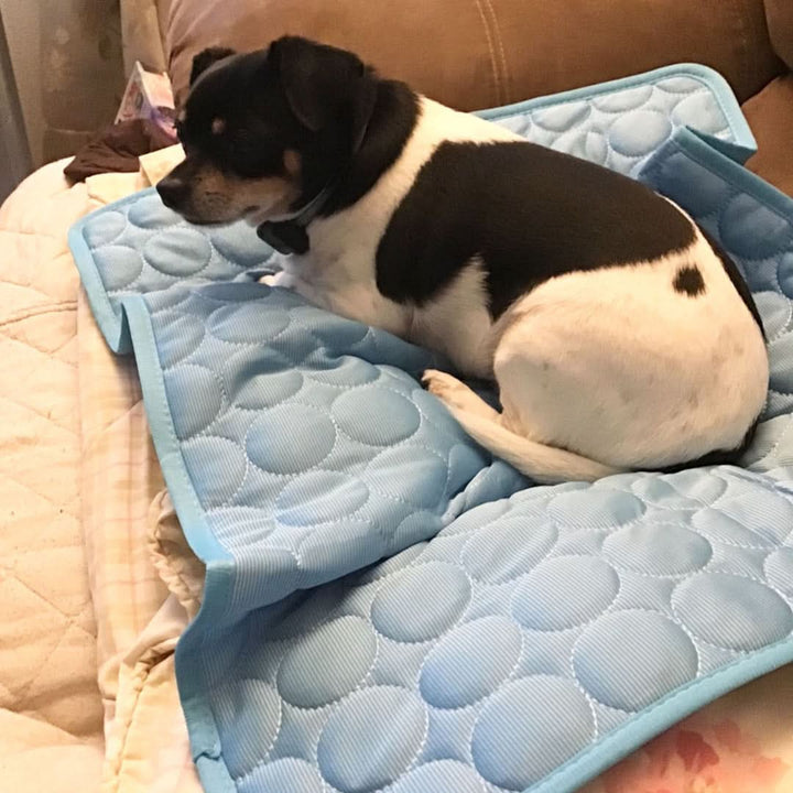 Premium Cooling Mat for Pets - Keep Your Furry Friends Comfortable-Orizon Depot