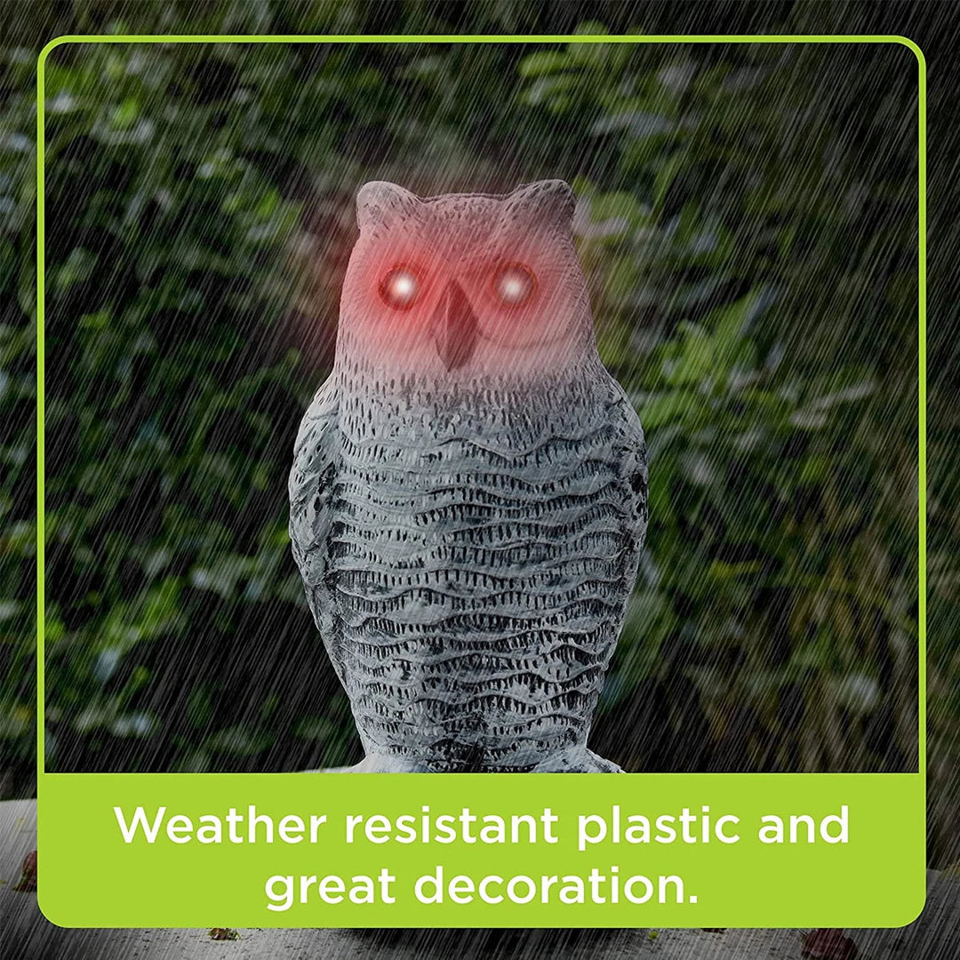 Realistic Owl Decoy for Bird Control and Repelling