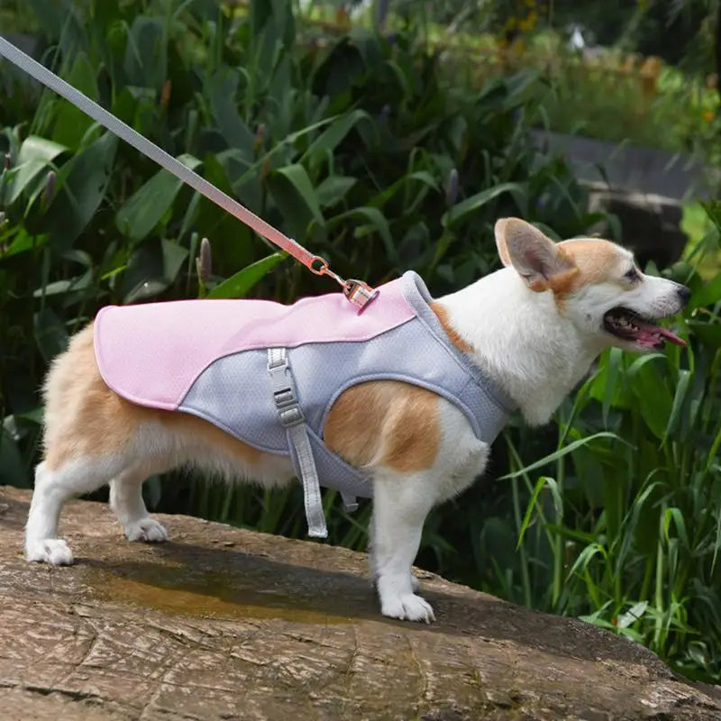 Dog Cooling Vest for Summer Outdoor Adventures