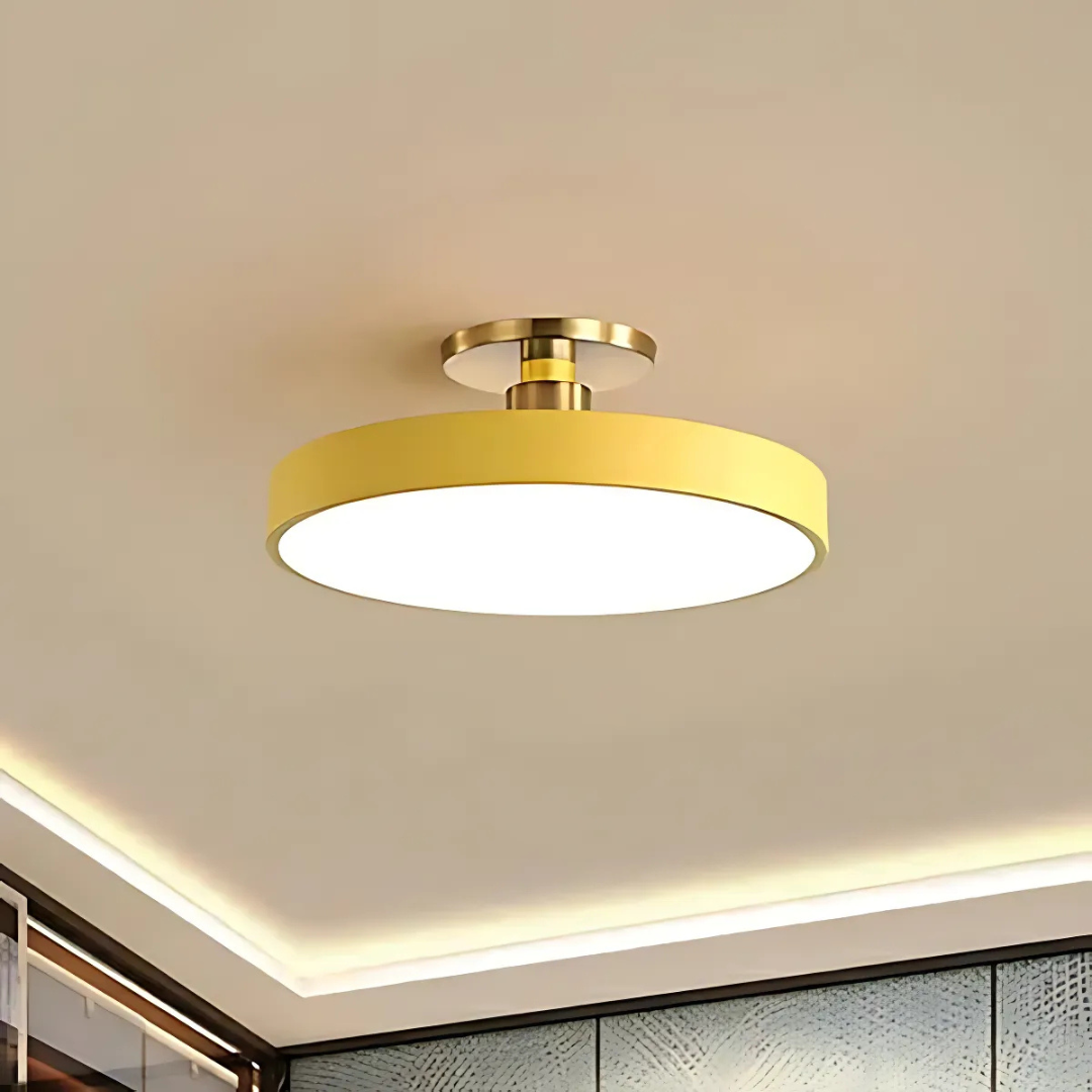Scandinavian Modern Design LED Ceiling Light Fixture