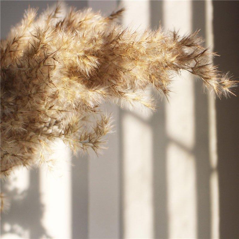 Natural 60 cm Brown-Beige Dried Pampas Grass Bouquet for Boho Decor-Orizon Depot