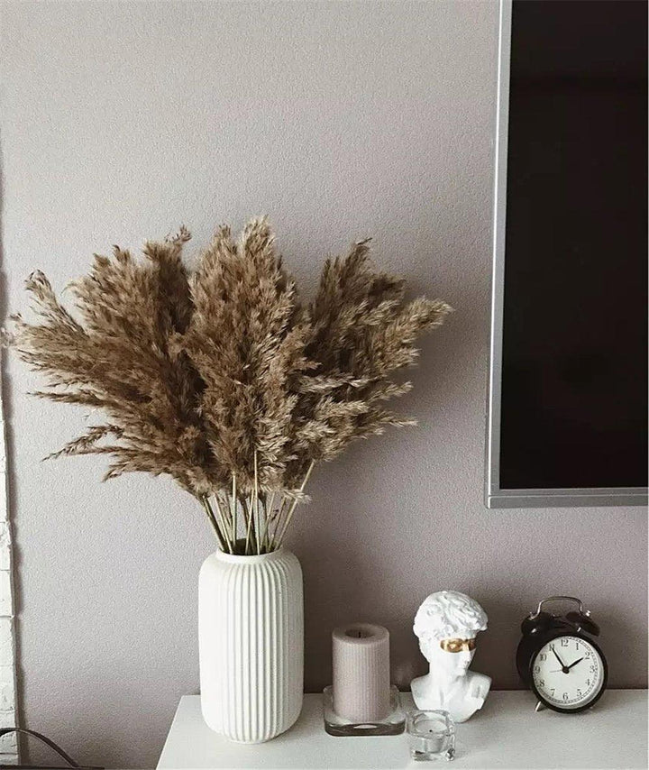 Natural 60 cm Brown-Beige Dried Pampas Grass Bouquet for Boho Decor-Orizon Depot