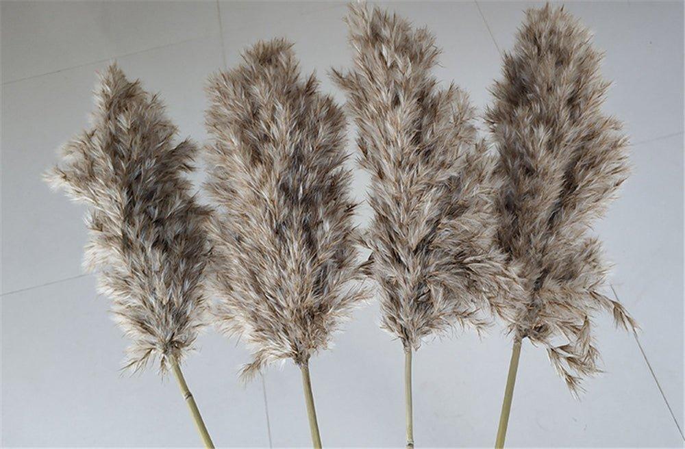 Natural 60 cm Brown-Beige Dried Pampas Grass Bouquet for Boho Decor-Orizon Depot