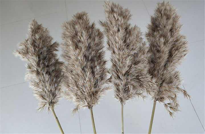 Natural 60 cm Brown-Beige Dried Pampas Grass Bouquet for Boho Decor-Orizon Depot