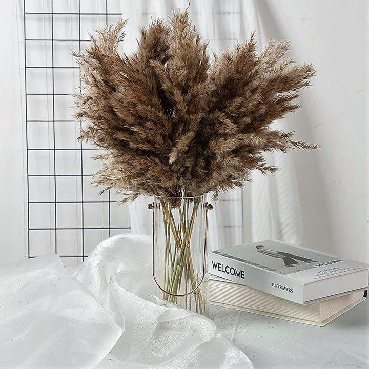 Natural 60 cm Brown-Beige Dried Pampas Grass Bouquet for Boho Decor-Orizon Depot