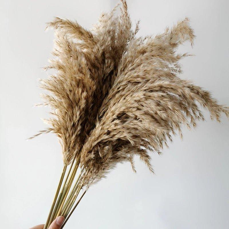 Natural 60 cm Brown-Beige Dried Pampas Grass Bouquet for Boho Decor-Orizon Depot
