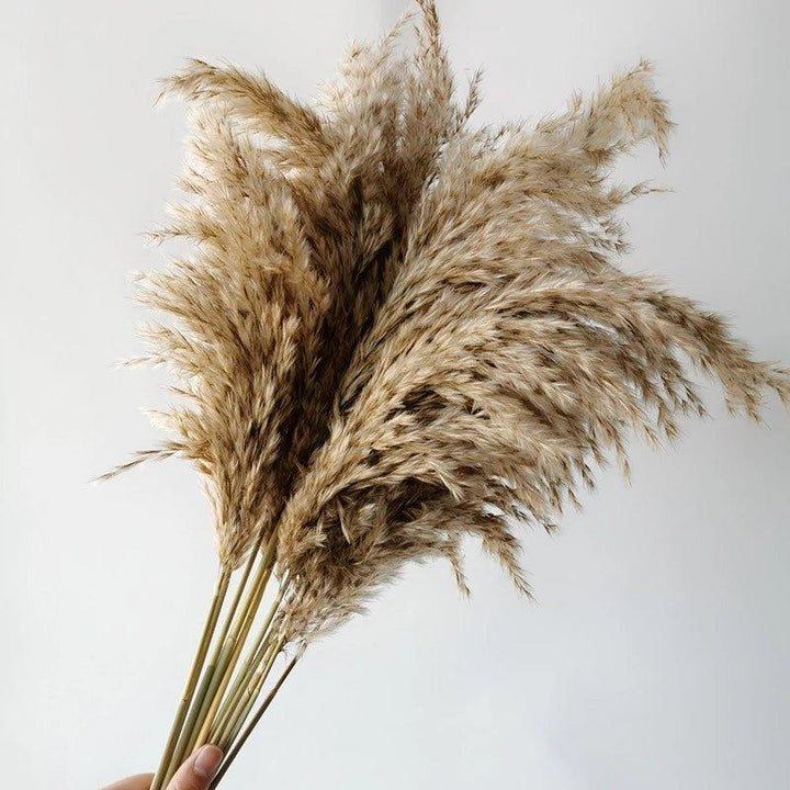 Natural 60 cm Brown-Beige Dried Pampas Grass Bouquet for Boho Decor-Orizon Depot